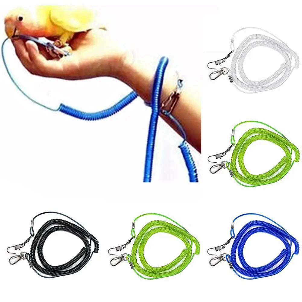 Various colored parrot training leashes for cockatiels and budgies shown in different coils and lengths.
