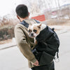 A person is carrying a small dog in a black breathable backpack carrier while walking outdoors.
