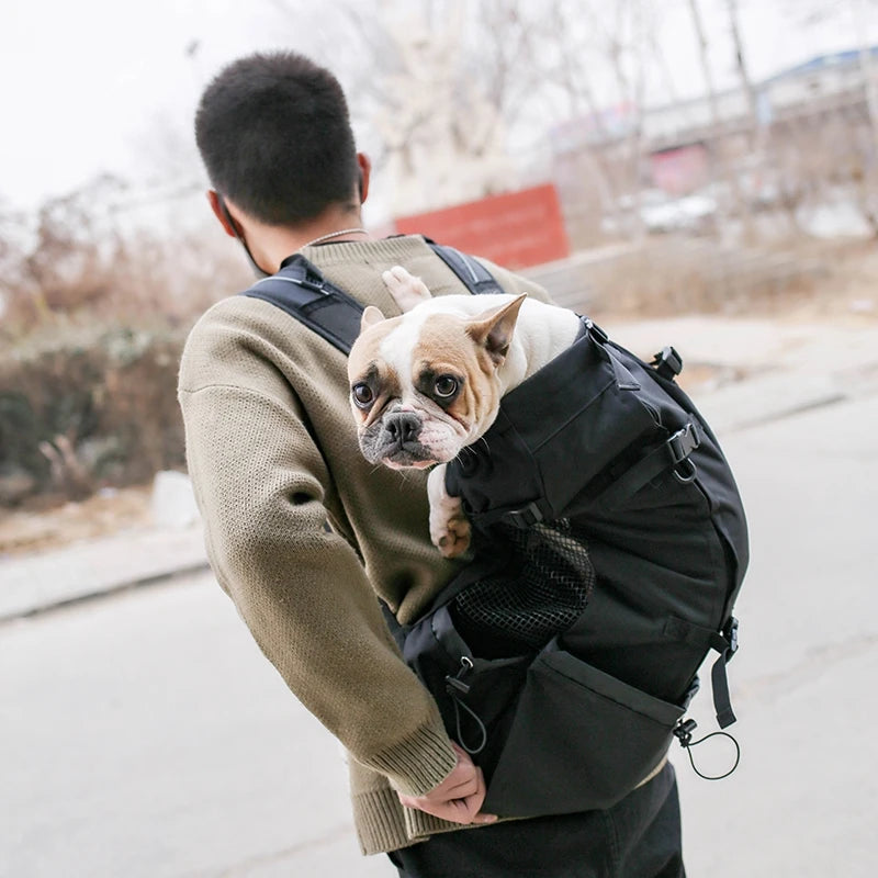 A person is carrying a small dog in a black breathable backpack carrier while walking outdoors.