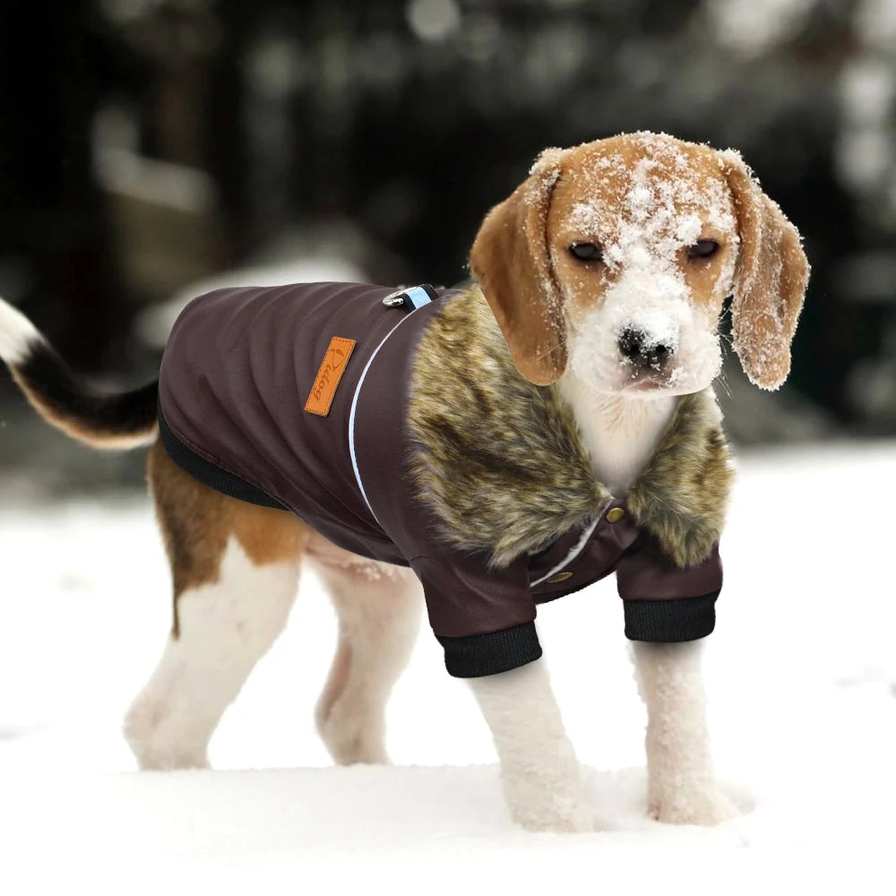 Classic PU Leather Dog Jacket for Small and Medium Breeds
