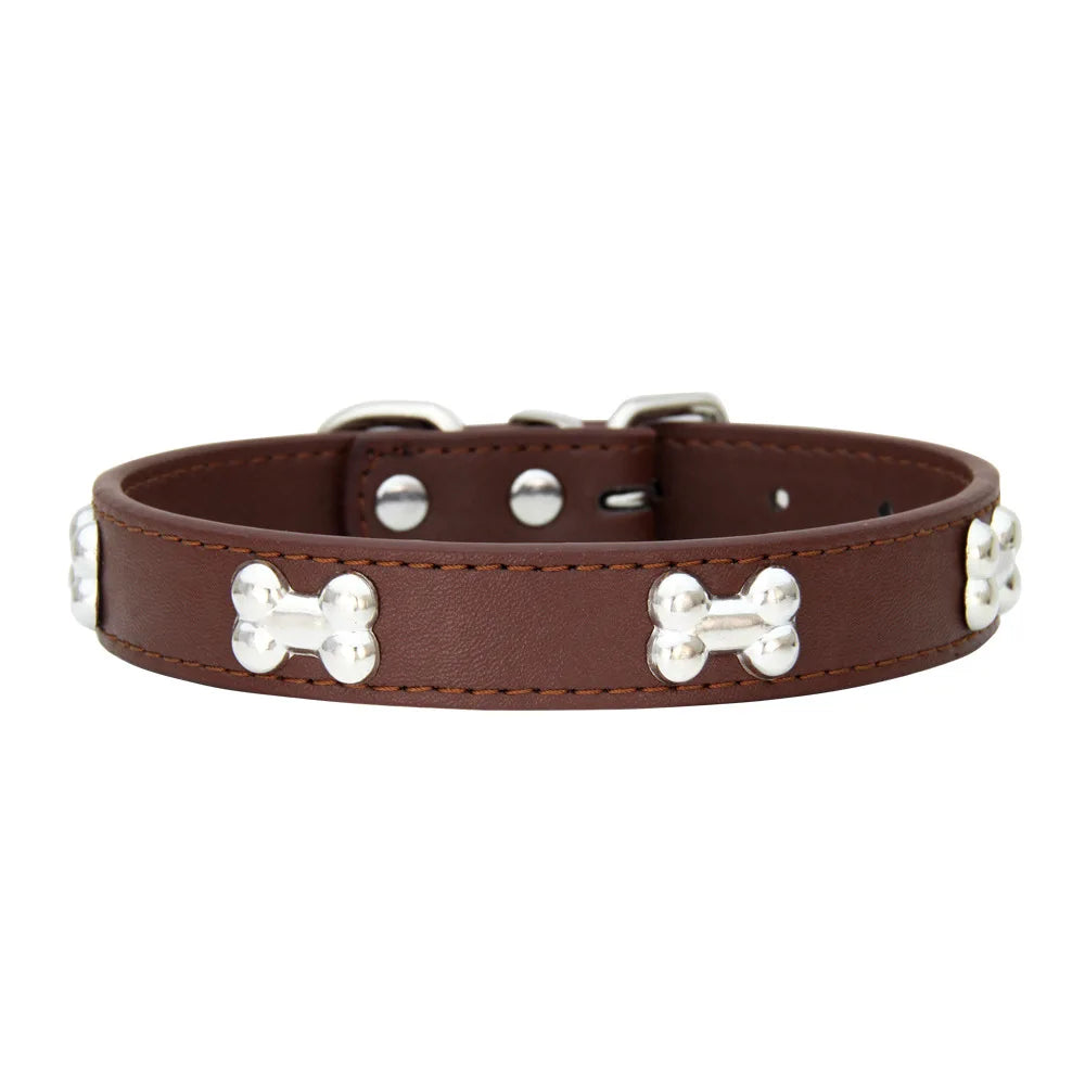 A brown leather dog collar with silver hardware and a buckle.