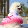 A white dog wearing a pink and white lace dress with ruffles, posing outdoors.