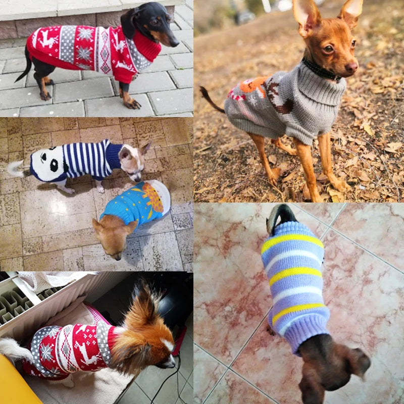 Suéter de Punto Acogedor para Perro