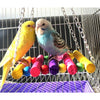 Bird Toy Hanging Swing for Parrots and Cockatiels