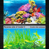 Aquarium 3D Background Sticker Poster for Fish Tank