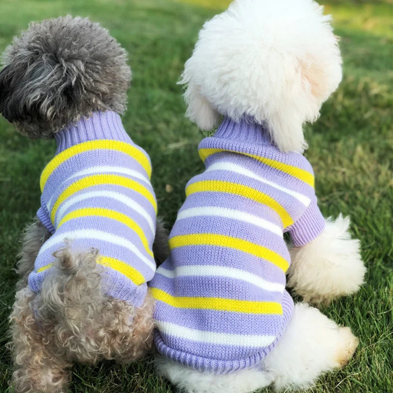 Suéter de Punto Acogedor para Perro