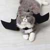 Cat Bat Wing Costume Accessory with Adjustable Straps