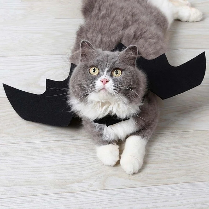 Cat Bat Wing Costume Accessory with Adjustable Straps