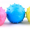 Durable Rubber Chew Toy for Small Dogs