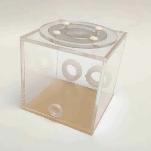 Transparent Double-Tube Ant Nest Farm with 4 Tubes