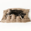 Cozy Cotton Pet Sofa Bed for Dogs and Cats