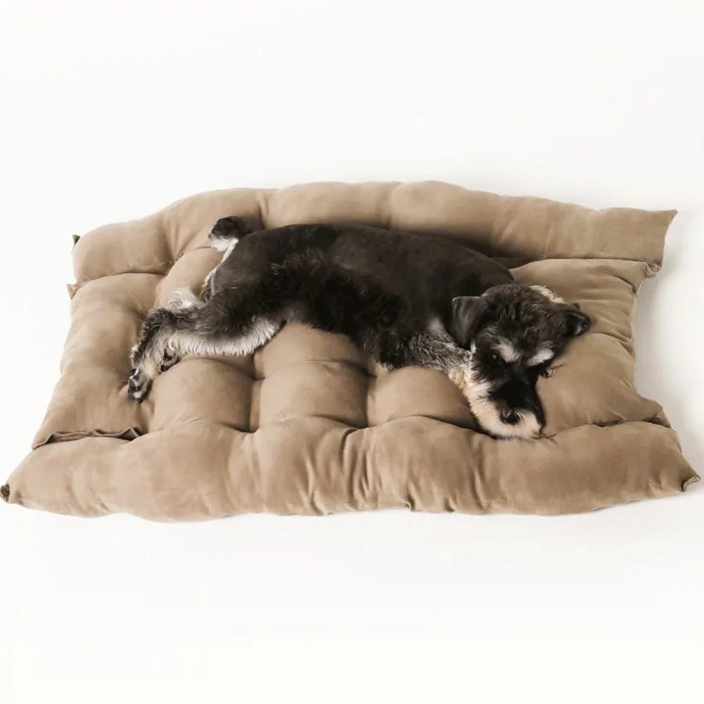 Cozy Cotton Pet Sofa Bed for Dogs and Cats