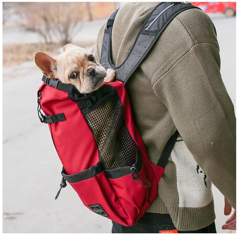 Eine Person trägt einen roten belüfteten Hundetransporterrucksack mit einem kleinen hellbraunen Hund auf dem Rücken.