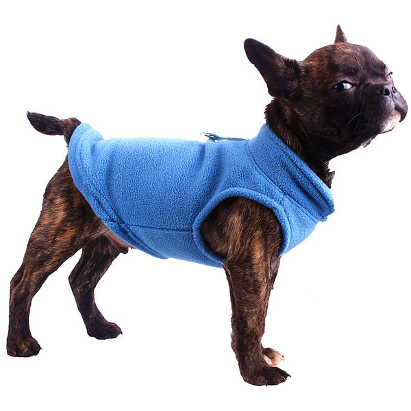 A brown dog wearing a bright blue quilted fleece vest.