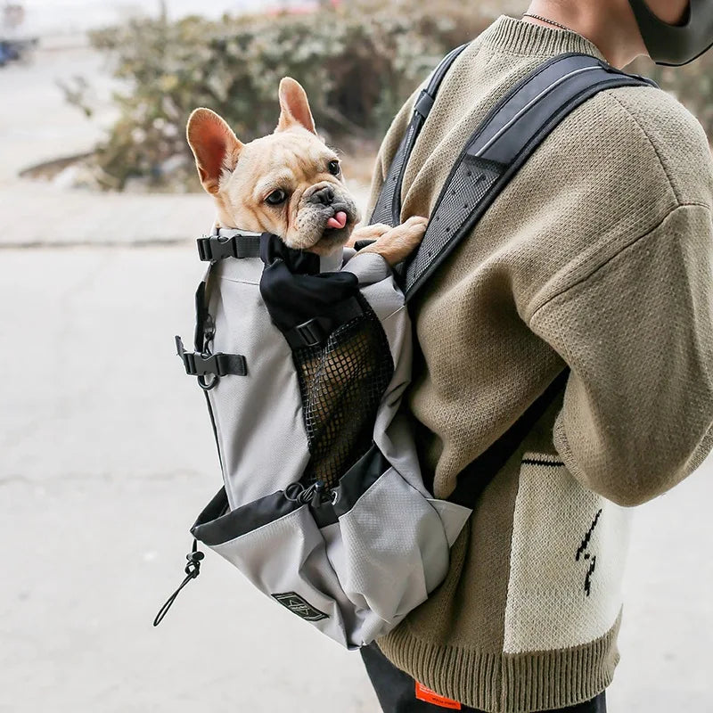 A light gray breathable dog backpack carrier is worn on a person's back, featuring black straps and a mesh pocket.