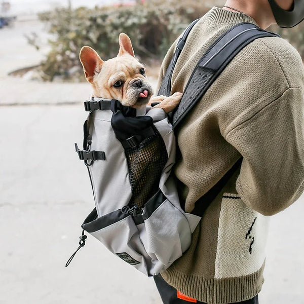 A light gray breathable dog backpack carrier is worn on a person's back, featuring black straps and a mesh pocket.