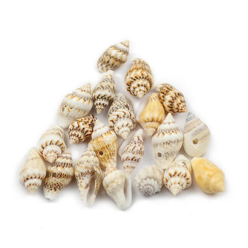 A collection of natural sea shell beads in various shades of beige and white, arranged in a loose pile.