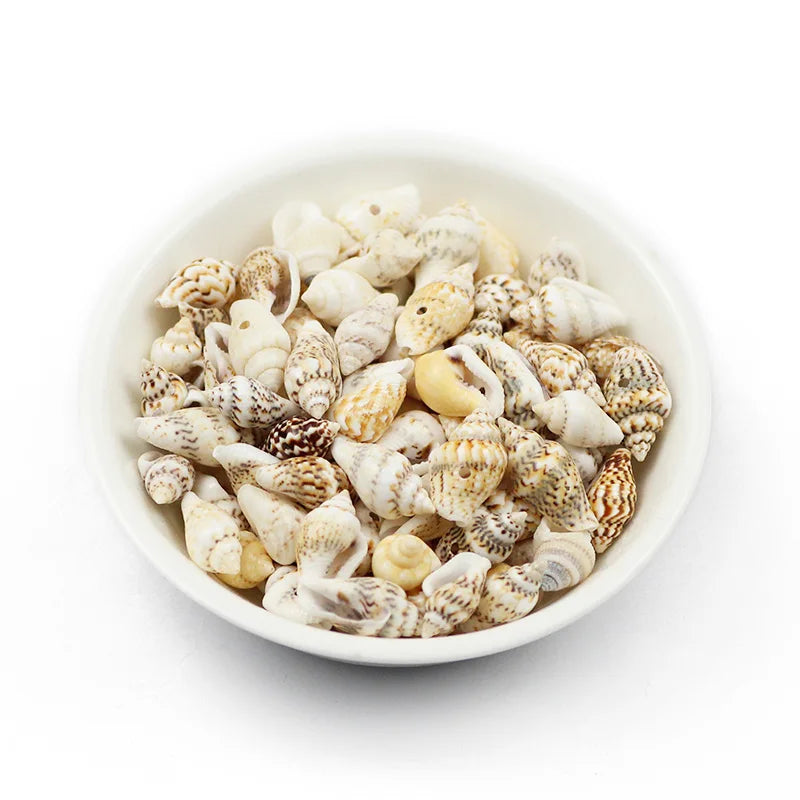 A bowl filled with natural sea shell beads for jewelry making, showing various sizes and colors.