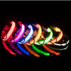 USB Charging Glowing Dog Collar with Pendant