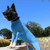 4-Leg Dog Recovery & Anxiety Calming Onesie