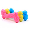 Durable Rubber Chew Toy for Small Dogs