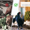 Red de Alimentador Colgante para Aves y Verduras