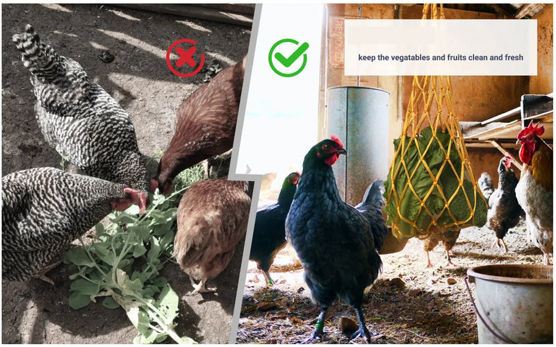 Red de Alimentador Colgante para Aves y Verduras