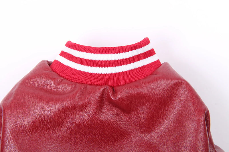 معطف شتوي للكلب - جلد اصطناعي وبطانة فليس دافئة