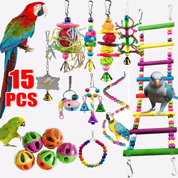 Un ensemble d'entraînement d'oiseaux combinant un ara macaw, divers jouets suspendus et plusieurs petits oiseaux.