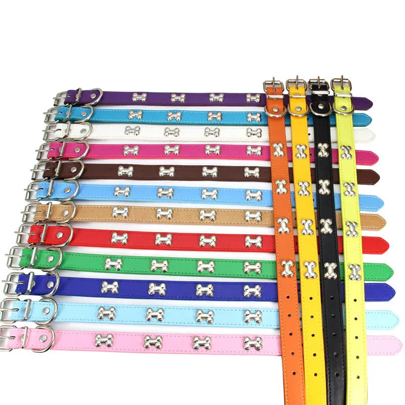 A variety of colorful leather dog collars are displayed, featuring various colors and buckles.