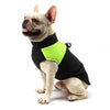 Winter Waterproof Dog Jacket for All Sizes
