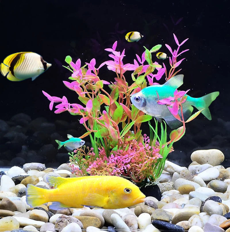 Plantes artificielles pour aquarium assorties