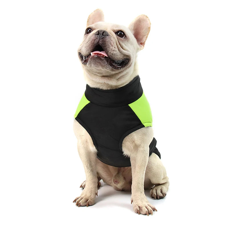 Winter Waterproof Dog Jacket for All Sizes