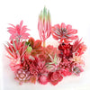 Artificial Succulent Bonsai Plant for Home Decor