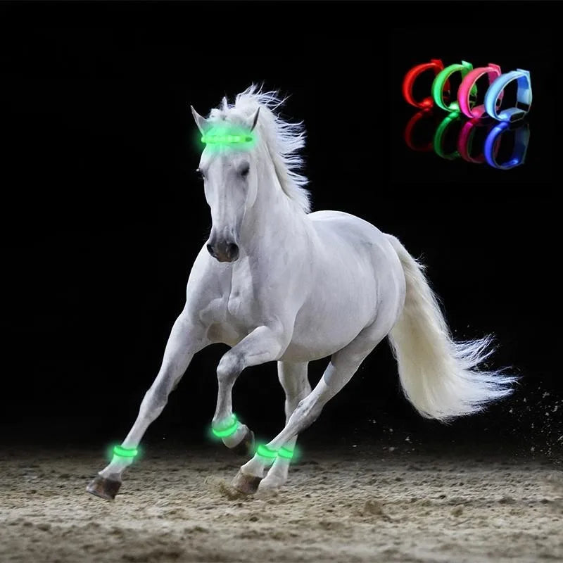 Set de Correas LED para Caballos: Seguridad y Visibilidad Nocturna