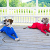 4-Leg Dog Recovery & Anxiety Calming Onesie