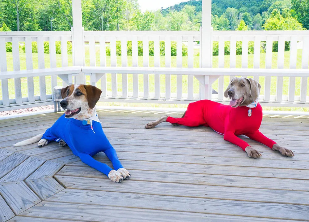 4-Leg Dog Recovery & Anxiety Calming Onesie