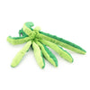 A green interactive squeak dog toy shaped like a starfish with multiple tentacles.