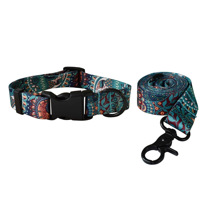 A patterned dog collar and leash set featuring colorful paisley designs.