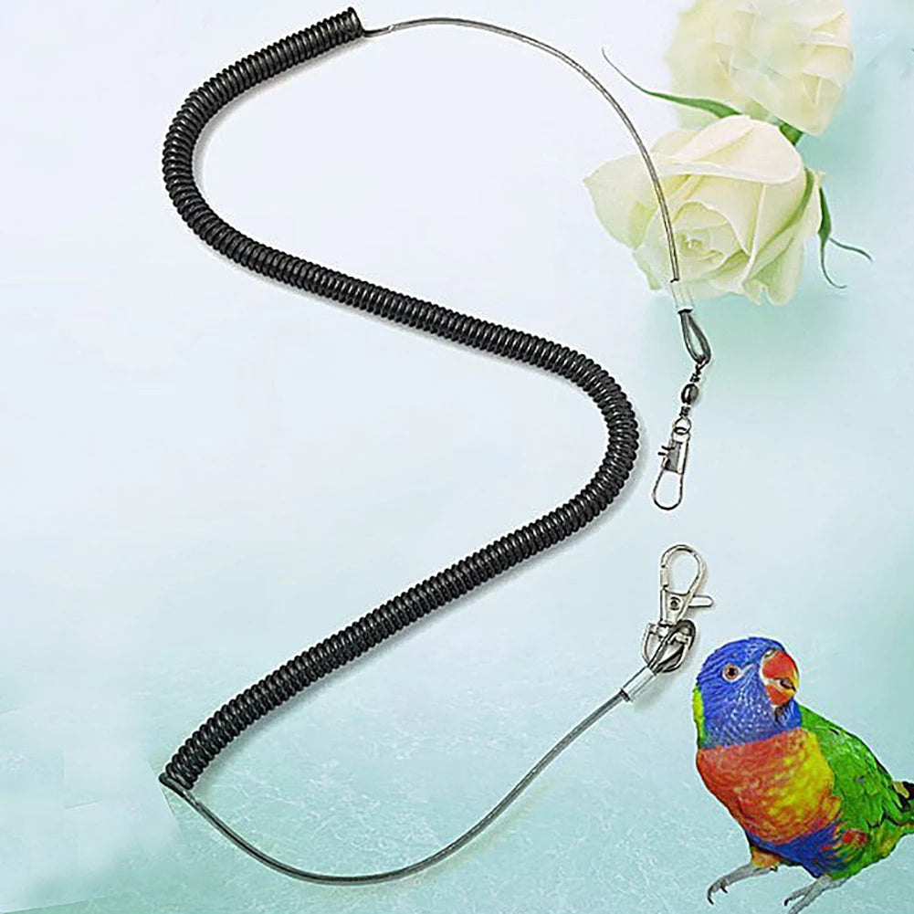 A black parrot training leash is shown next to a small green and red budgie.