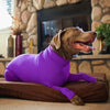 4-Leg Dog Recovery & Anxiety Calming Onesie