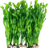 Artificial Aquarium Plants with Ceramic Base