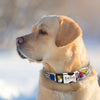 Personalisierte Nylon-Hundehalsband mit graviertem ID-Plättchen