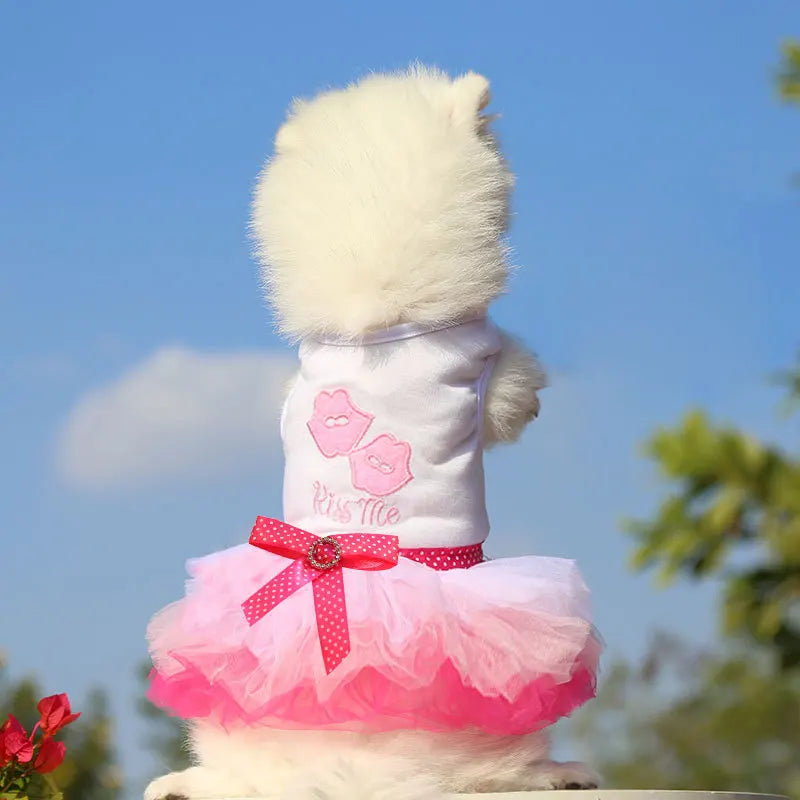 A fluffy white dog wearing an elegant pink lace dress with a pink ruffled skirt against a blue sky.