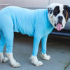 4-Leg Dog Recovery & Anxiety Calming Onesie