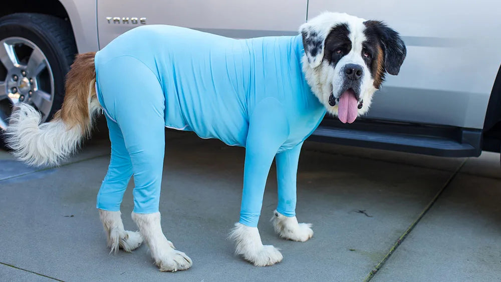 4-Leg Dog Recovery & Anxiety Calming Onesie