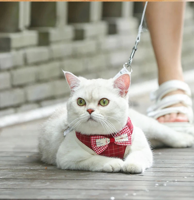 A white cat wearing a red plaid bowknot harness and leash, sitting on a wooden surface.