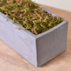 A rectangular gray container filled with green artificial moss for crafts and decor.