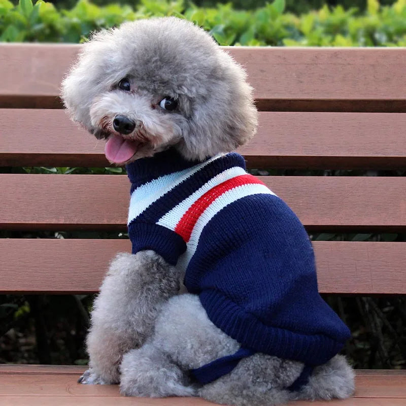 Suéter de Punto Acogedor para Perro