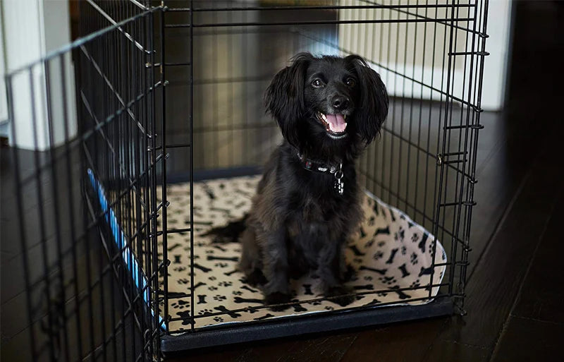 A black dog is inside a wire crate on a mat, looking out.